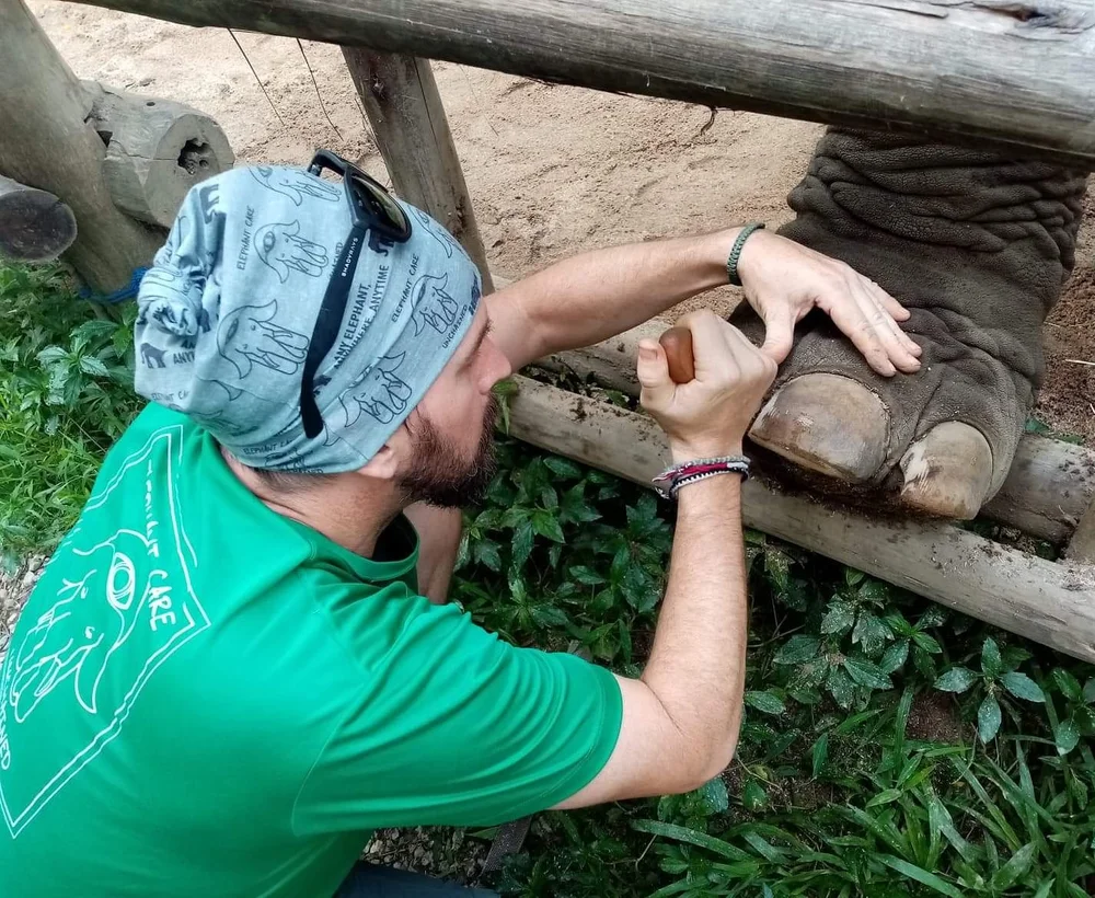 Elephant Care Unchained
