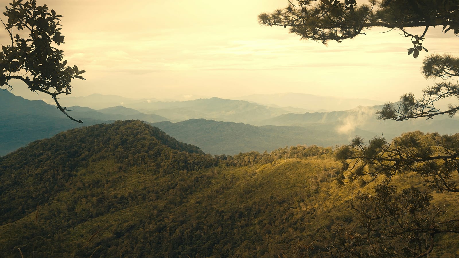 Southeast Asia landscape