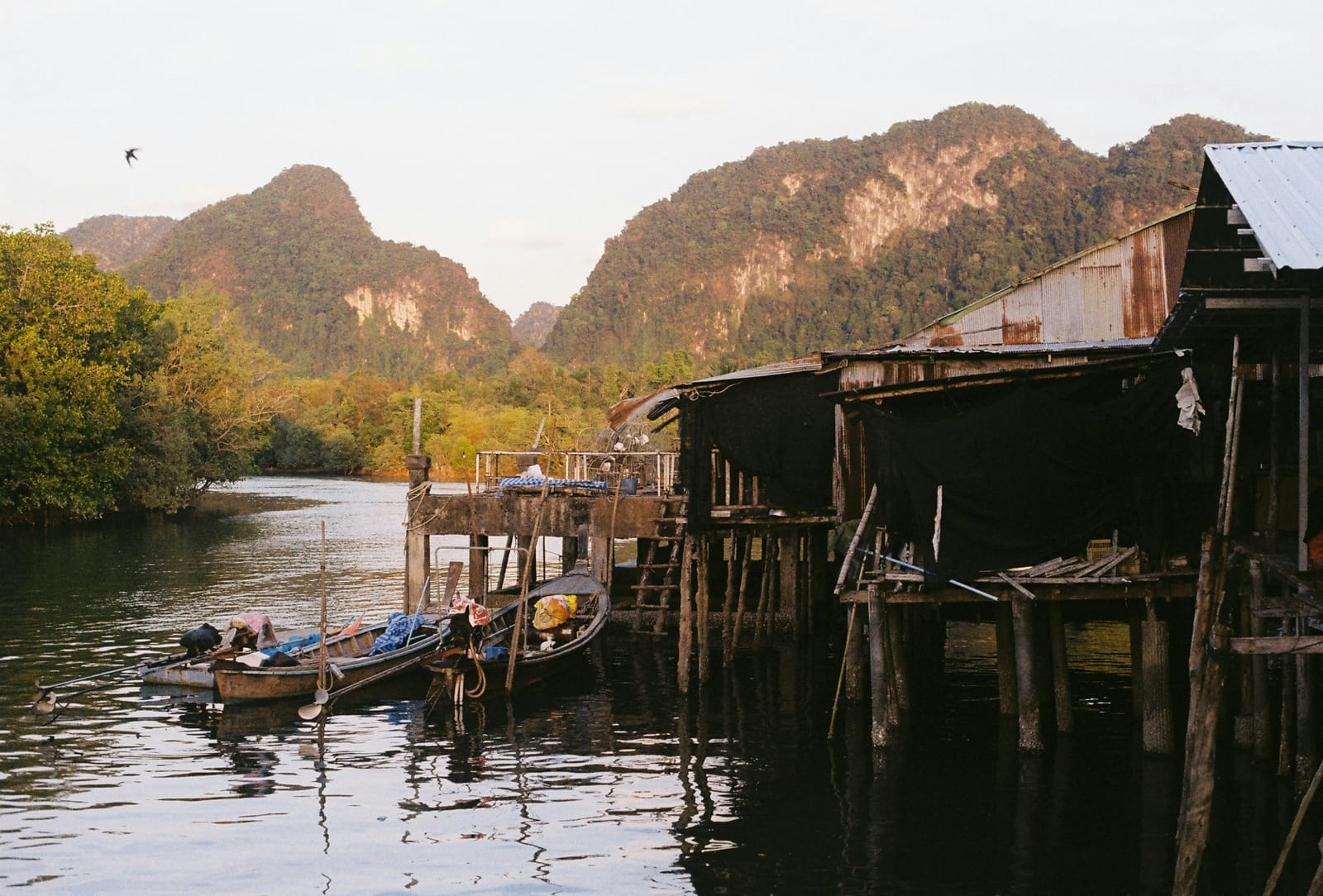 Coastal Conservation & Community Life
